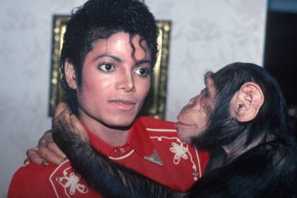 Bubbles, chimpanzé de Michael Jackson, vive em santuário e recebe “mesada” milionária até hoje