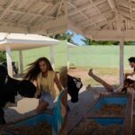 Boi reage a show de Patixa Teló e derruba Nicole Bahls em bebedouro